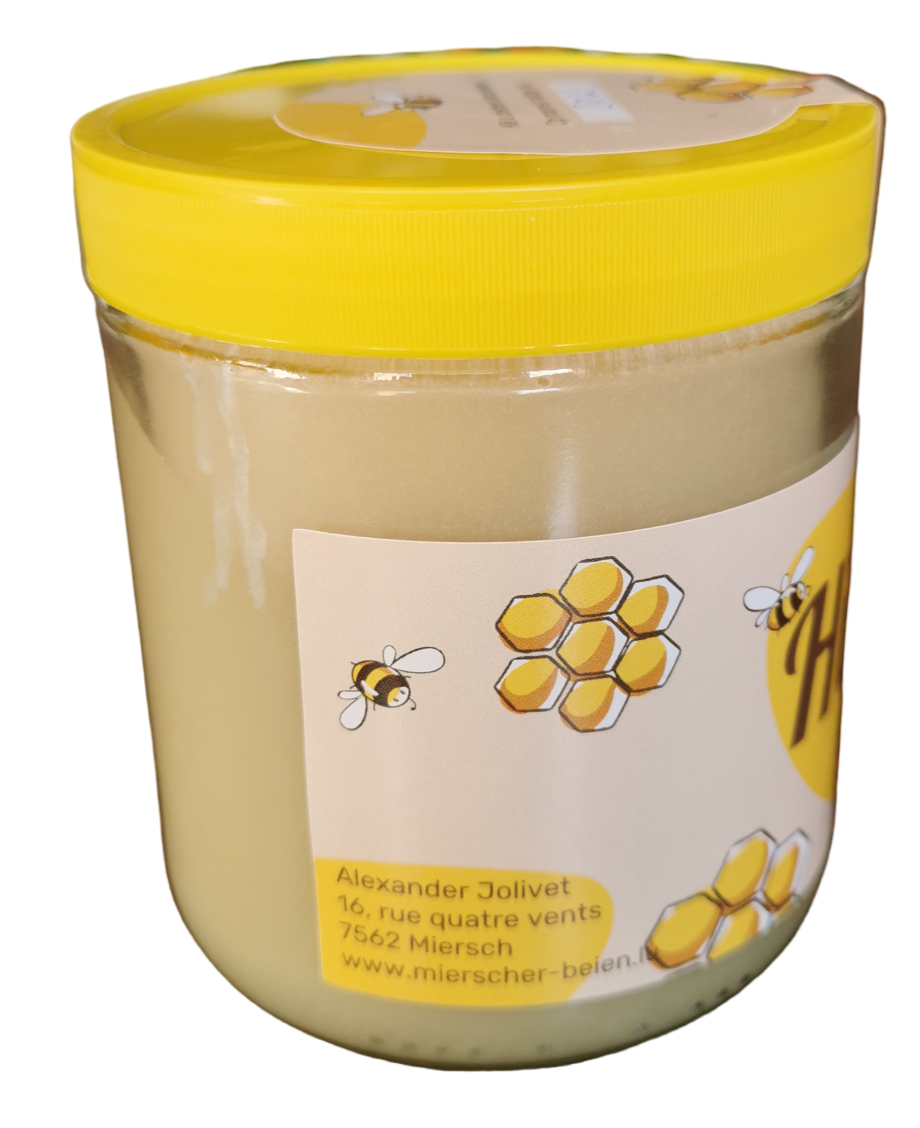 merscher frühlingshonig 500g 2025 merscher frühlingshonig 500g 2025